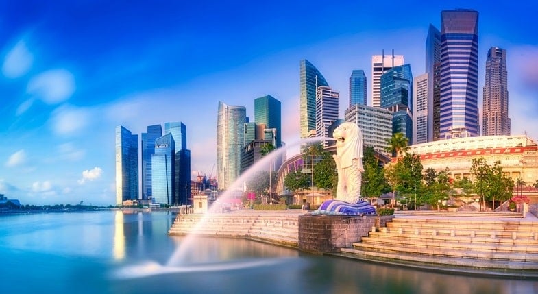giấy phép lái xe