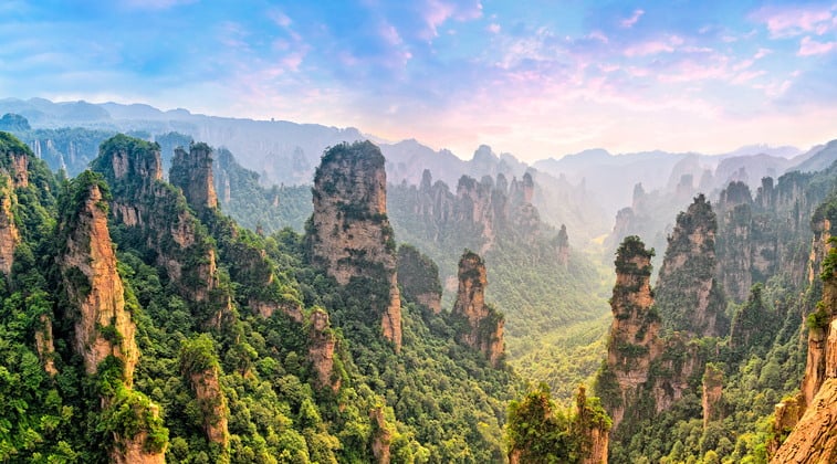 Người có tri thức phong phú chưa hẳn là người trí tuệ